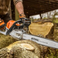 Stihl chainsaw cutting a tree
